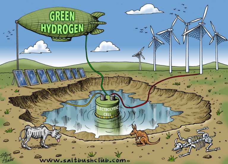 Hydrogen Hoax